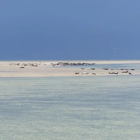 Vue Appartement Berck