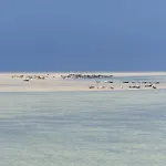 Vue דירה Berck
